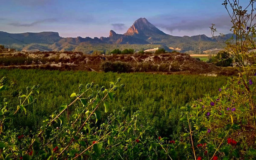Mañanas más frías. Previsión meteorológica de la semana.
