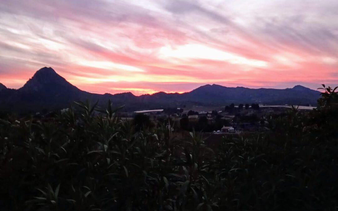 Lluvia débil y temperaturas altas. Previsión meteorológica de la semana