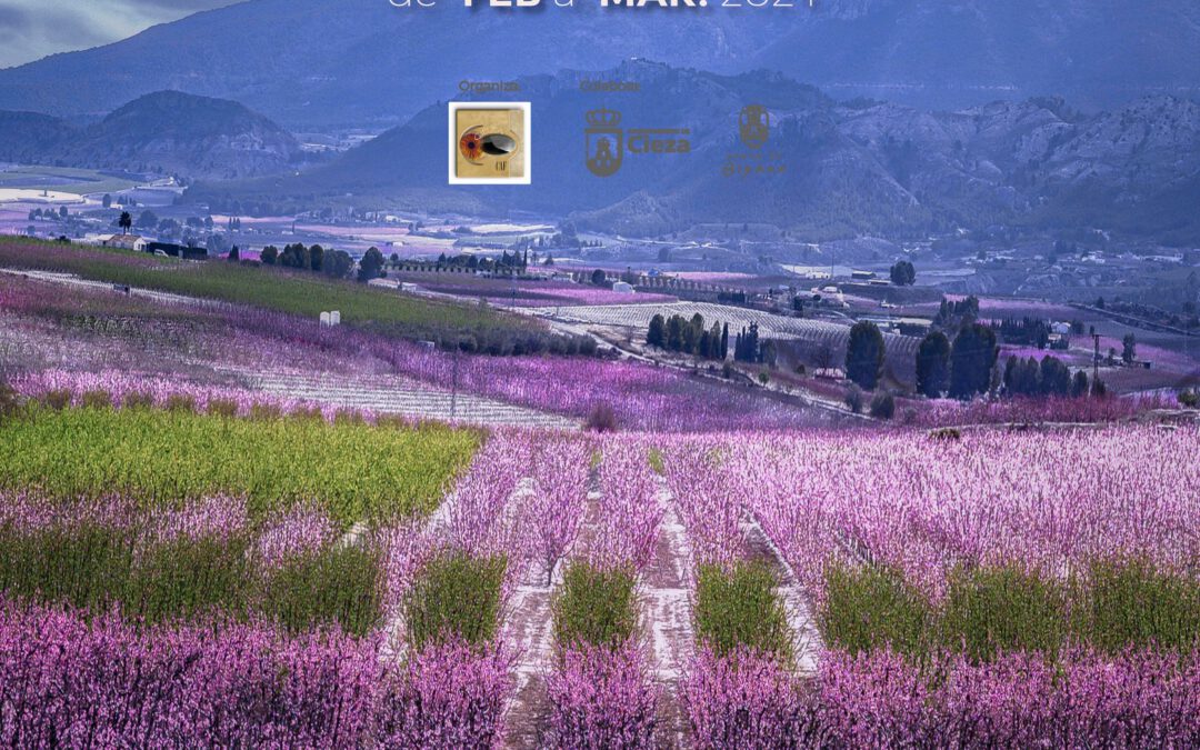 XII Concurso de Fotografía “La floración en Cieza”