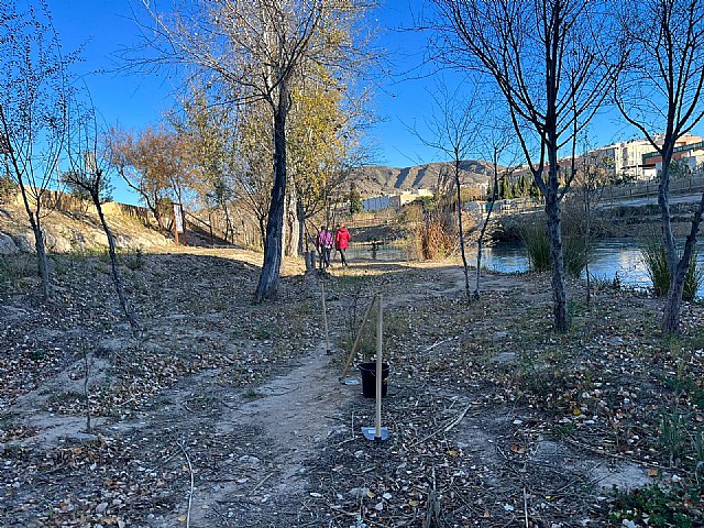 Programa Anual de Voluntariado Ambiental 2024