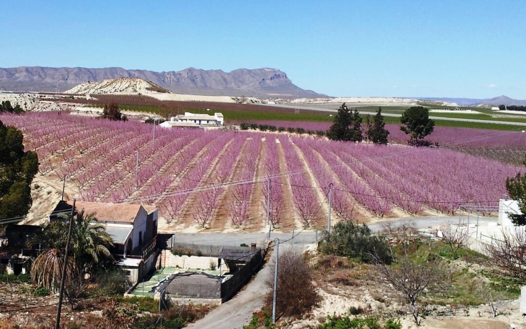 Casi total estabilidad. Previsión meteorológica de la semana