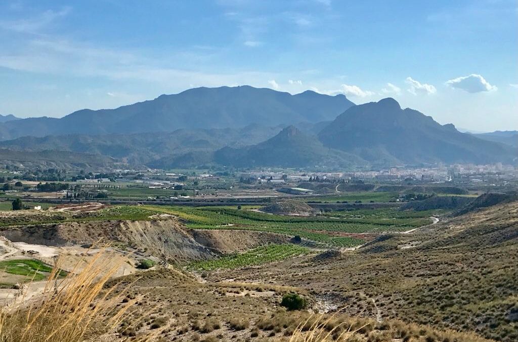 Anuncian la licitación del proyecto de señalización turística de Cieza