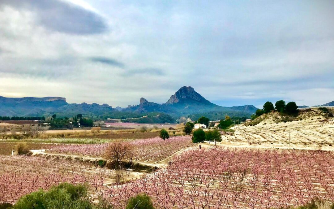 Jornada de información y sensibilización sobre el programa SICTED