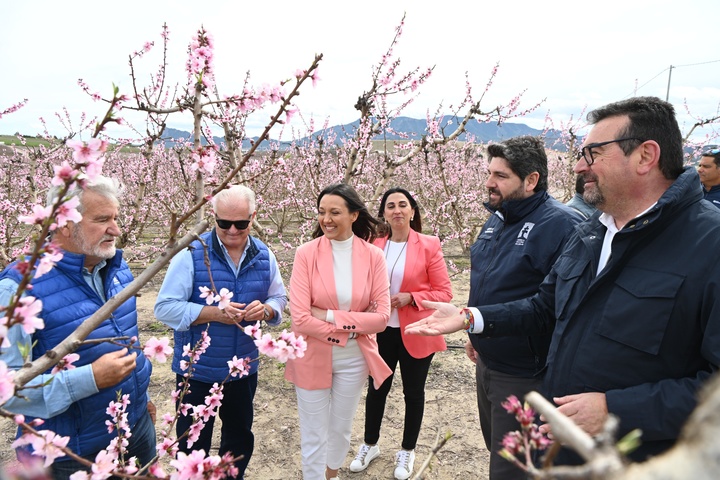 El presidente Fernando López Miras visitó la floración de Cieza