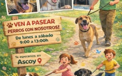 Se buscan voluntarios para pasear a los perros de la perrera municipal situada en Ascoy