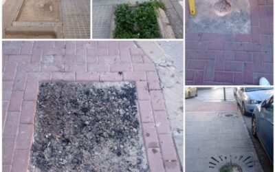 IU-Verdes pide más árboles en las calles de Cieza para hacer frente al cambio climático